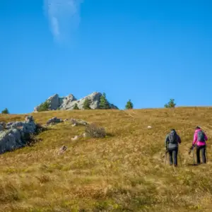 Into the Wild a Walking Tour In the Scottish Highlands