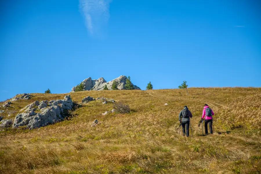 Into the Wild a Walking Tour In the Scottish Highlands