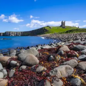 Iona Mull the Isle of Skye 5 Day Tour - From Edinburgh
