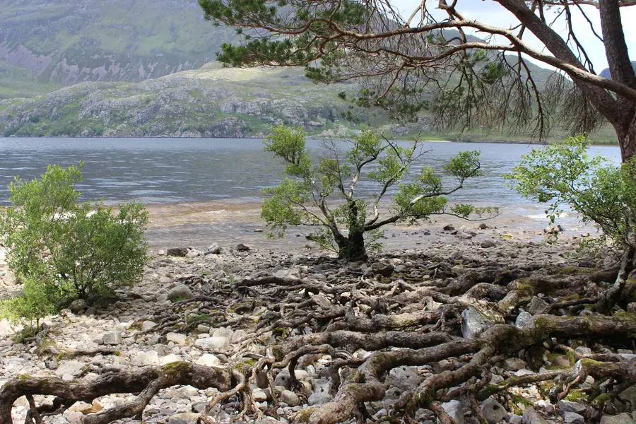 Loch Ness Highlands 1 Day Tour - From Aberdeen - Image 3