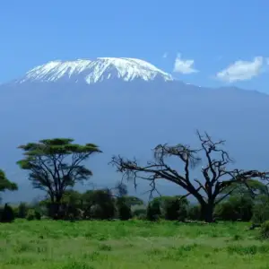 Kenya Safari - 2 Nights 3 Days (Sarova Maiyan & Ol Pejeta Conservancy)