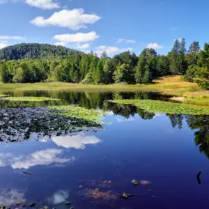 Legendary Waters Journey to Loch Ness 1 Day Tour - From Aviemore